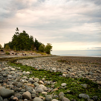 Carol Kujala Williams Beach_