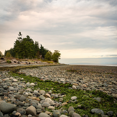 Carol Kujala Williams Beach_