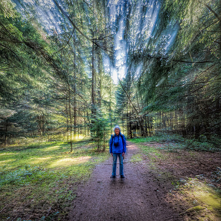 billjorgensen-3-forest-zoom-1_49766319898_o
