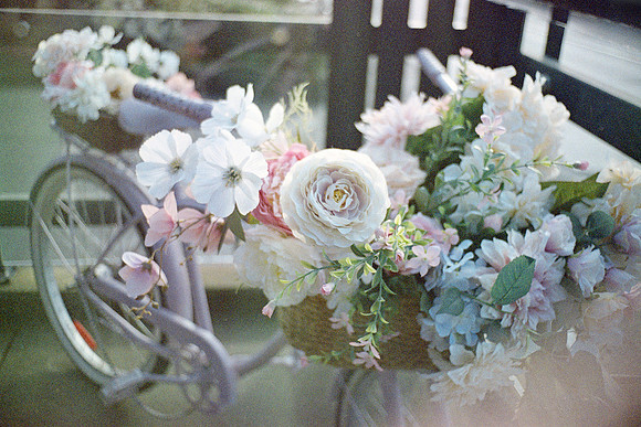 Mason Laver-Miranda's Flowers