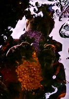 Roxane Lacroix-Capturing the Deep Space