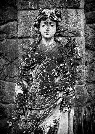 Sean O'Connell Hatley Castle (6)