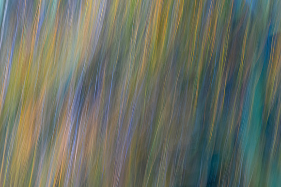 Marie MacIsaac ICM