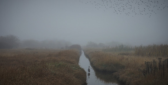 Julie Gourdeau-Feather Friends in Fog