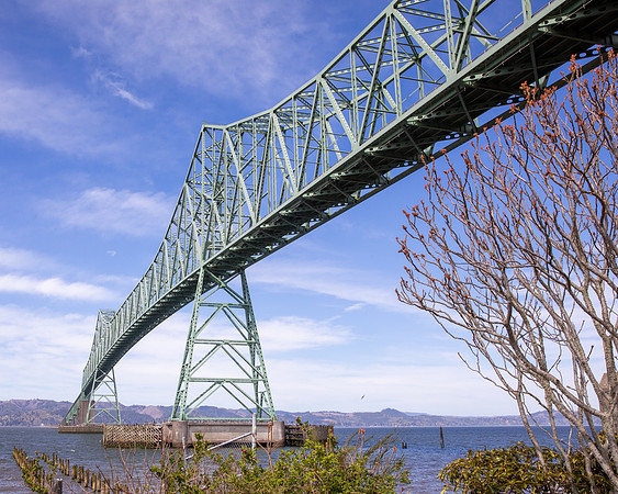 Jim Whyte-Astoria Bridge