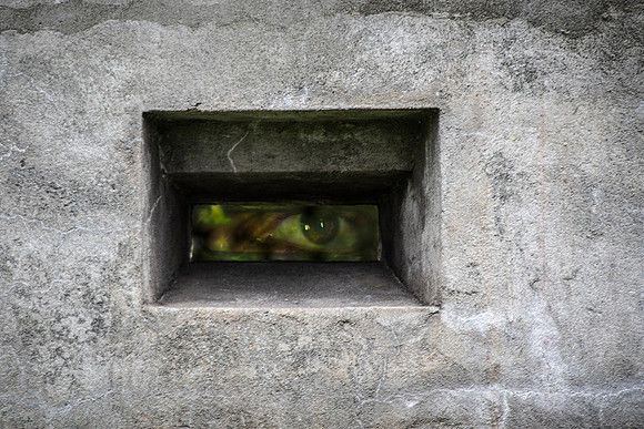 Robert Burkholder Fort Rodd 1
