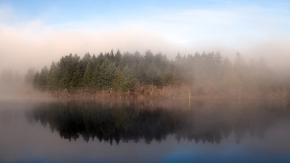 Norman Mathew-Westwood Lake Fog
