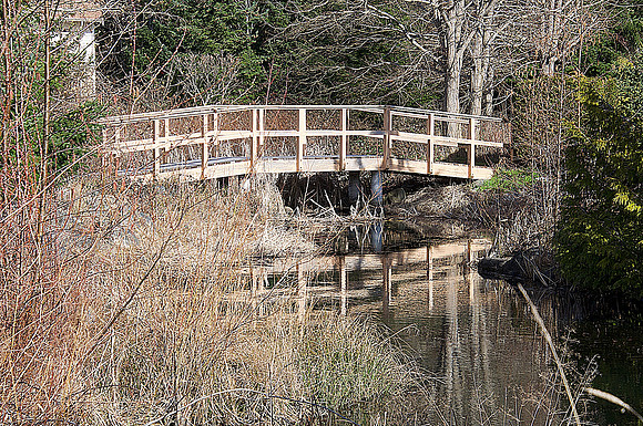 Rick Gafuik-Bridge 2