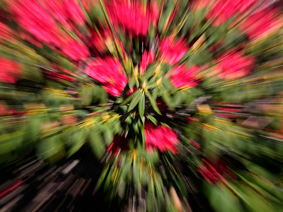 bill-turnbull-2020-04-12-004-warp-speed-rhodos_49767818492_o