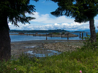 Bill Turnbull 007 Walkabout