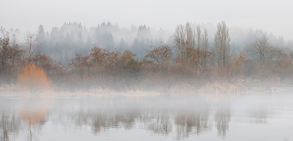 Judy Johnston-Misty Airpark