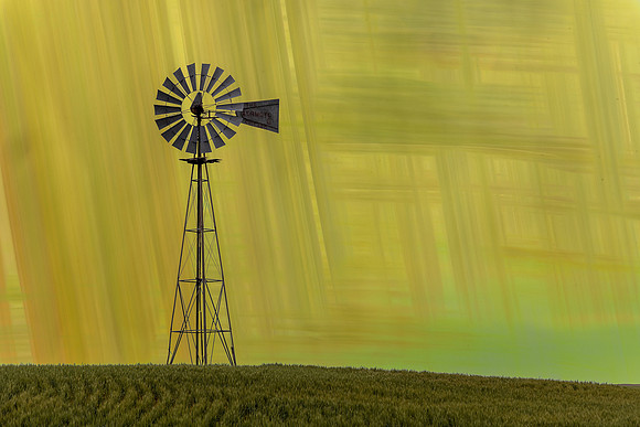 Iris Schurz-Windmill in Palouse