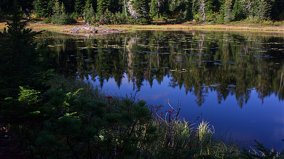 Norman Mathew Mount Washington (10)