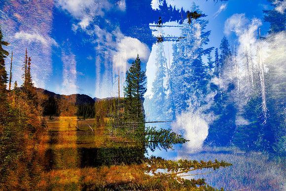 Sean O'Connell-World Shift