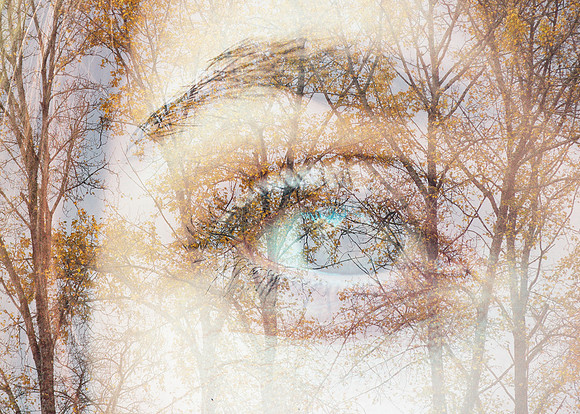 THIRD PLACE - Amit Bakshi-Eye