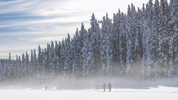 Laura Tait - MIsty Snowshoe