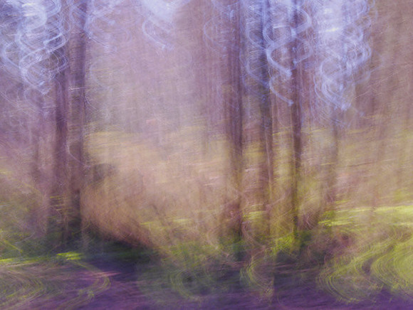patti-spearman-3-icm-spirals-of-light_49766319628_o