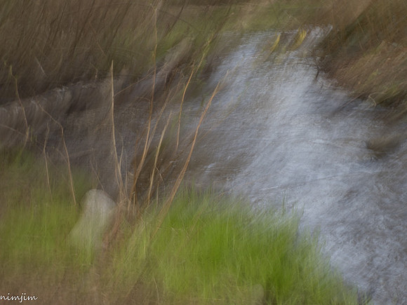 nimisha-j-icm-1_49766319693_o