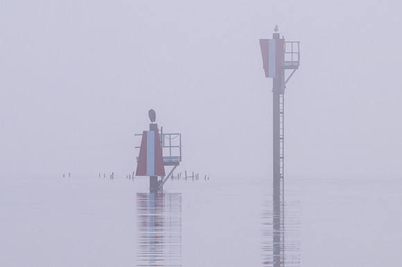 Anne Lacourt-Navigation Signals