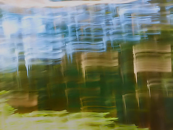 patti-spearman-1-icm-forest-waves_49766852426_o