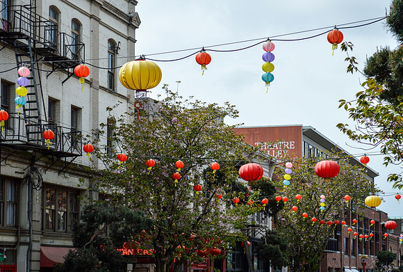 Linda McShane-Chinatown Lanterns