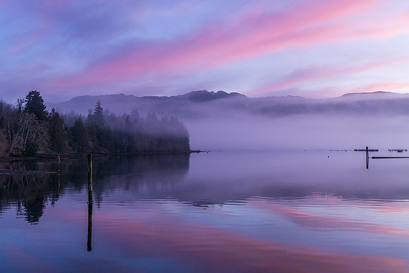 Iris Schurz-Morning Fog at Deep Bay