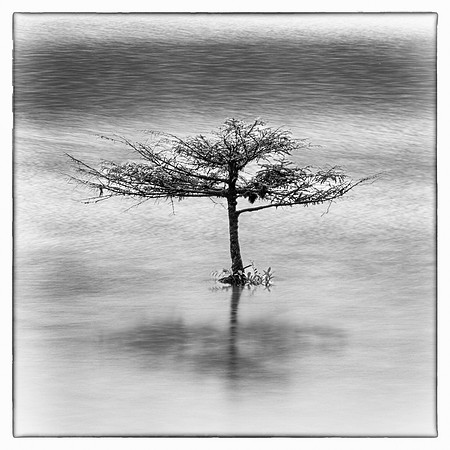 Laura Tait-Awash in Fairy Lake