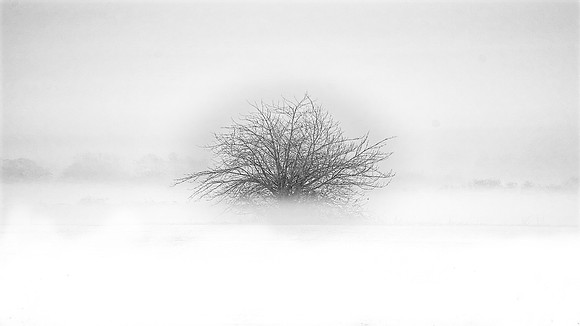 Norman Mathew-Lowland Fog