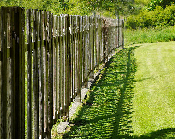 Patti Spearman Shadows 2 Don't Fence Me In