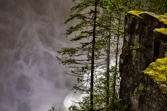 Linda McShane- Mist at Elk Falls