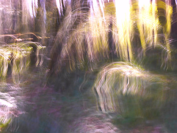 patti-spearman-4-icm-cascades_49767181522_o