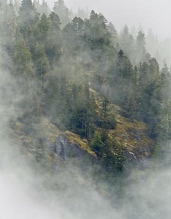 Wink Richardson-West Coast Weather