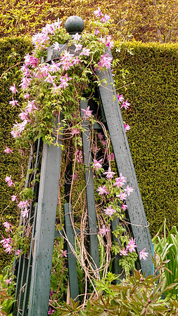Linda McShane-Hatley Floral Tower