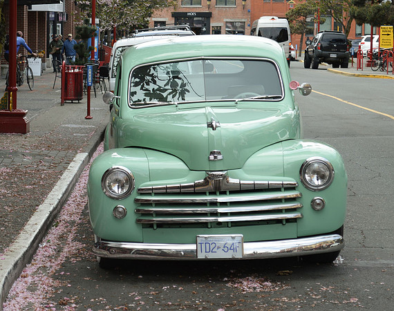 Linda McShane-Chinatown Ford Car
