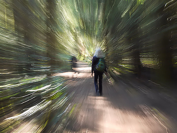 patti-spearman-2-icm-into-the-light_49767181542_o