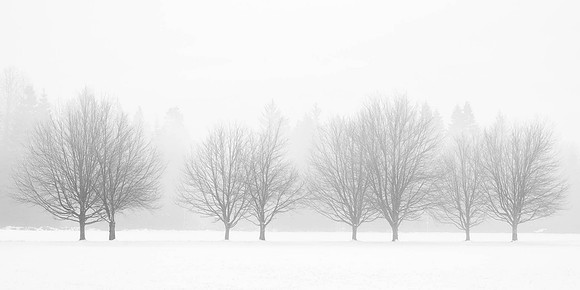 SECOND PLACE - Don Tait-Foggy Day