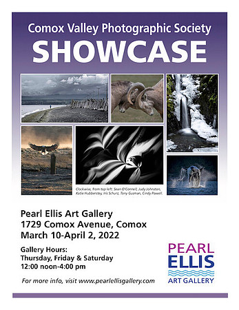 CVPS Showcase - Mar 2022-poster