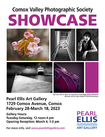 CVPS Showcase 2023-poster
