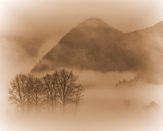 Robert Burkholder-Buntzen Fog