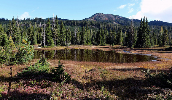 J.Houg-Paradise Meadows31
