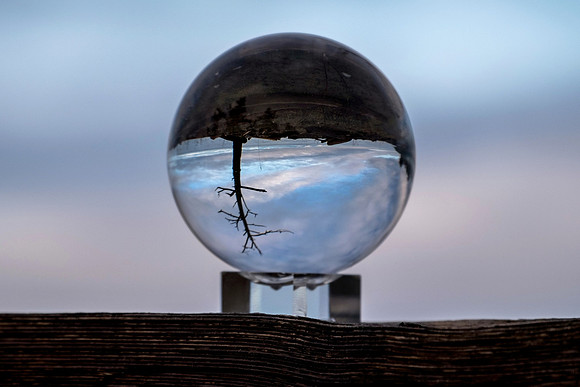 Jennifer Houg - Altered Reality