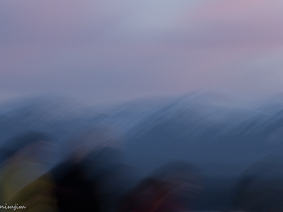 nimisha-j-icm-5_49766319643_o